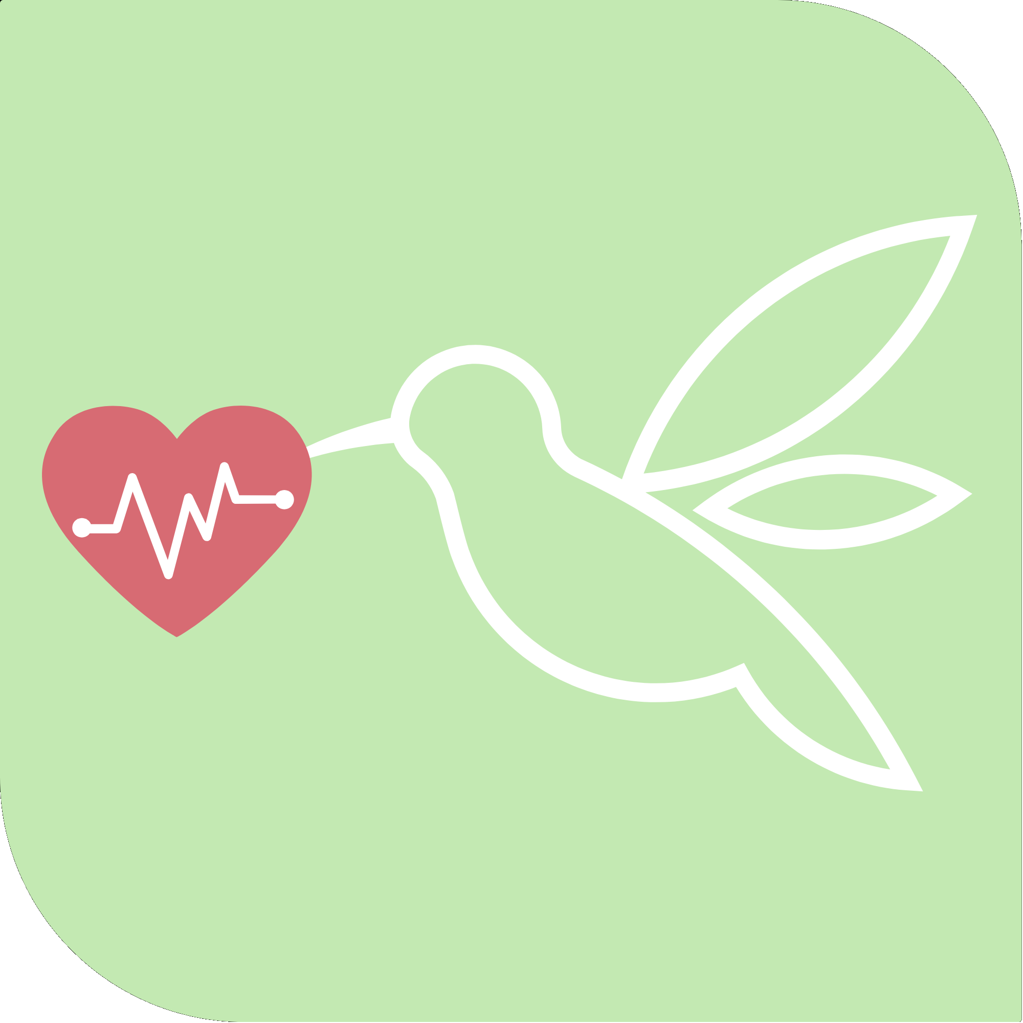 Vita Salud